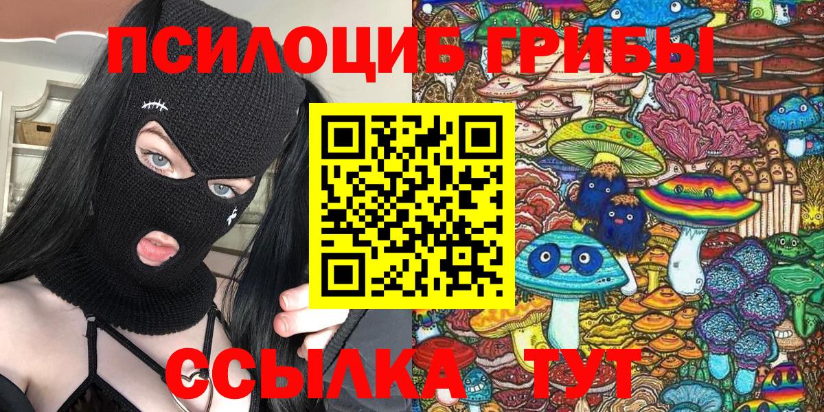 Клинцы  Галлюциногенные грибы Cubensis  Вход с VPN  Галлюциногенные грибы Magic Shrooms 