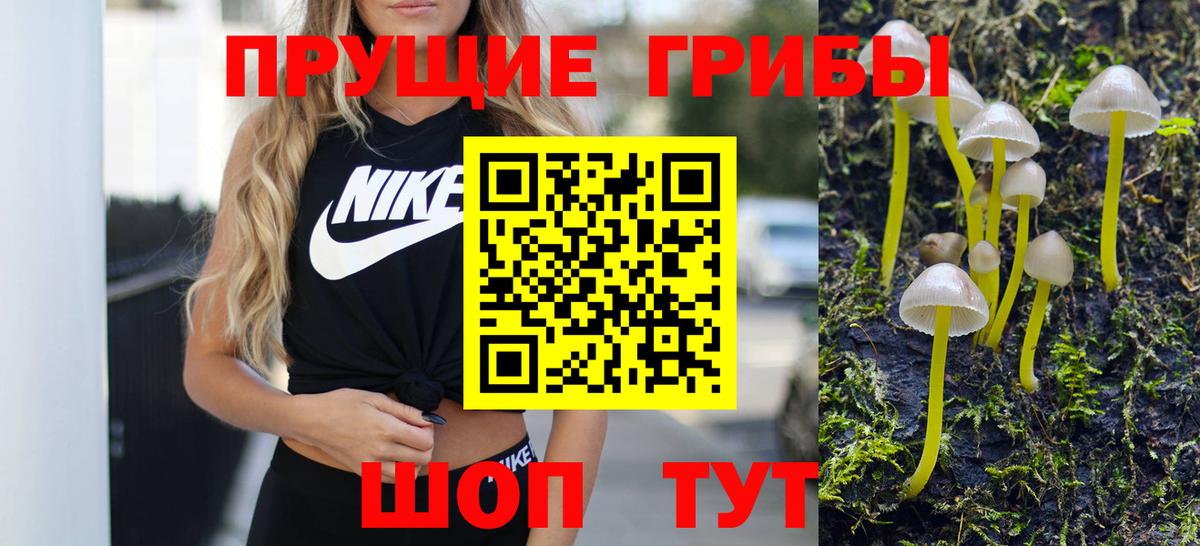 Галлюциногенные грибы ЛСД Клинцы